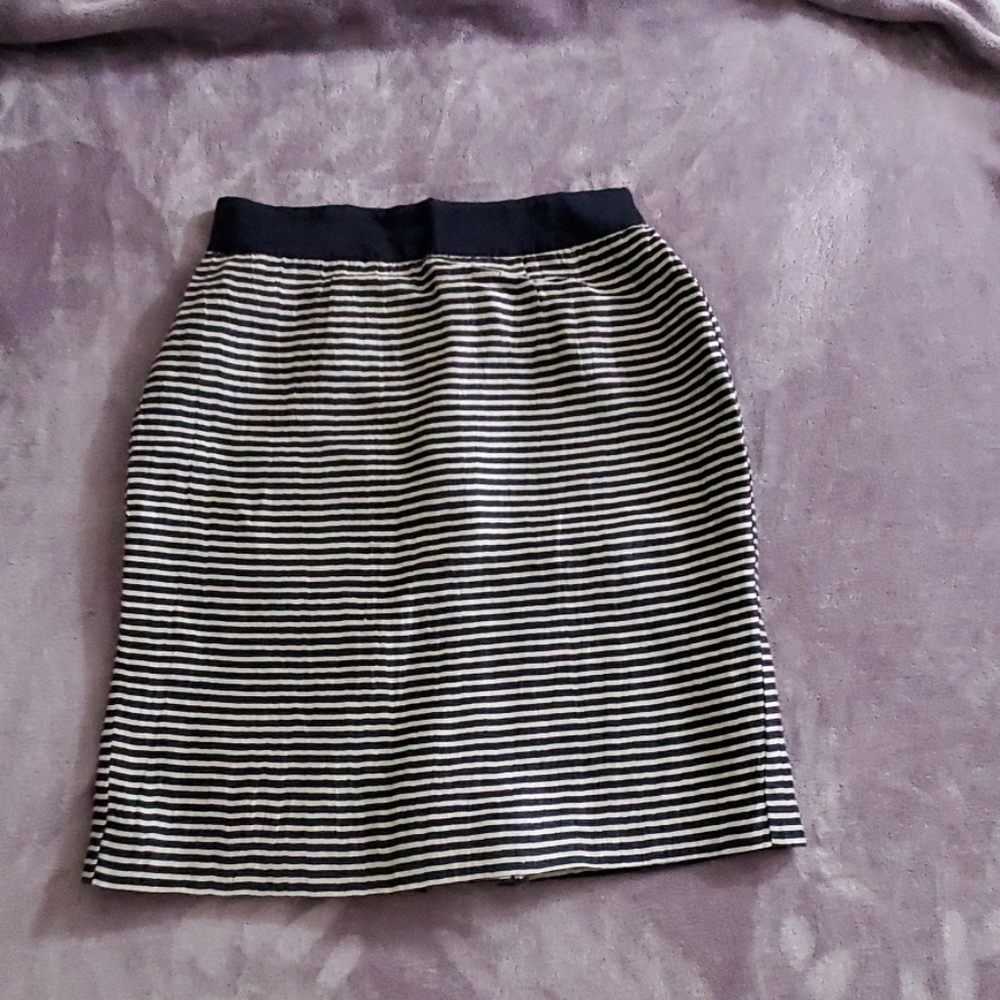 Ann Taylor Loft Skirt